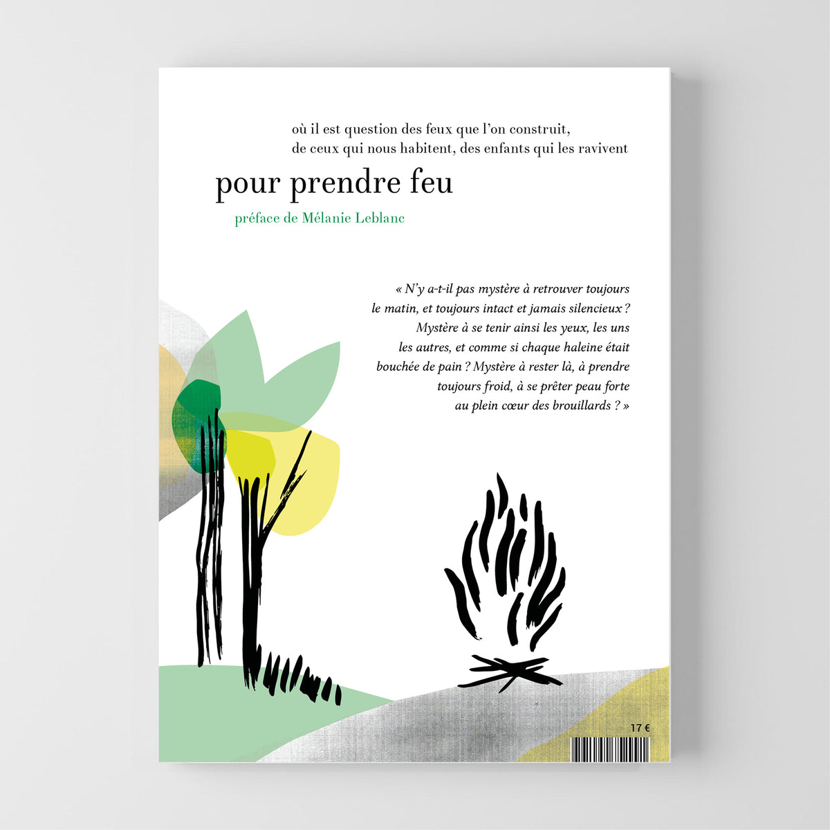 pour prendre feu • Maxence Amiel image 12