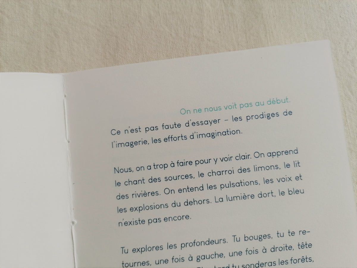 Commencer • Florence Saint-Roch image 2