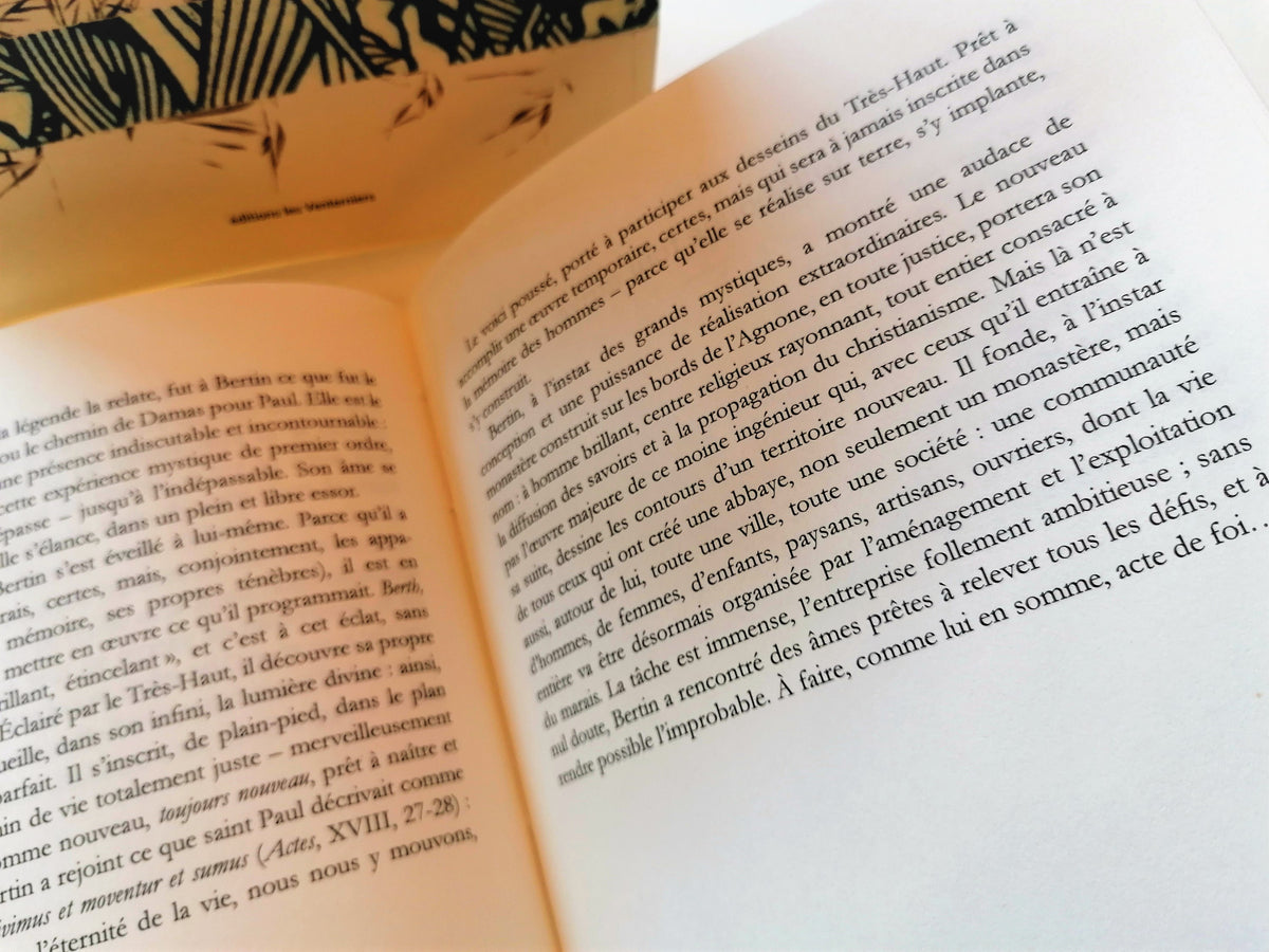 Embarque • Florence Saint-Roch image 5