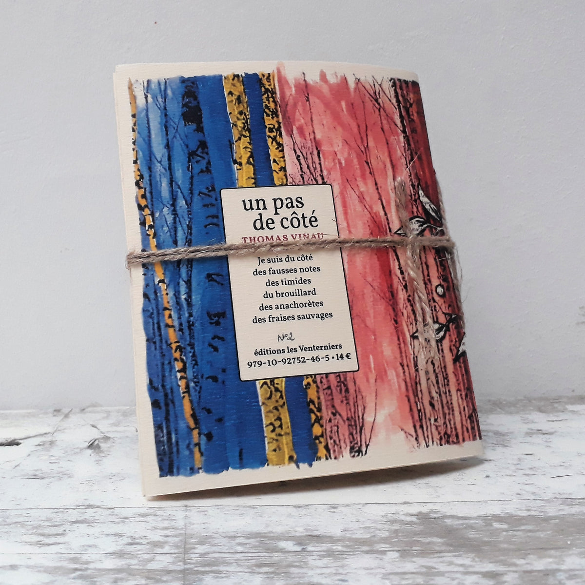 Un pas de côté • Thomas Vinau image 7