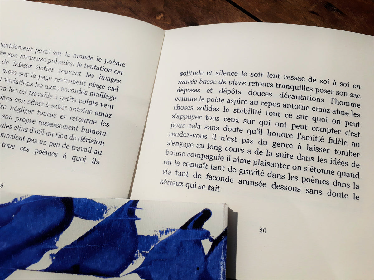 Antoine Emaz de a à z • Florence Saint-Roch image 6