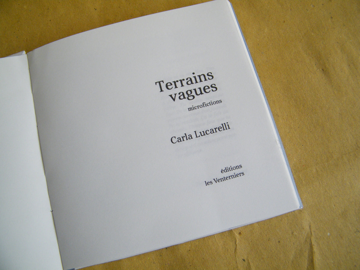 Terrains vagues • Carla Lucarelli image 1