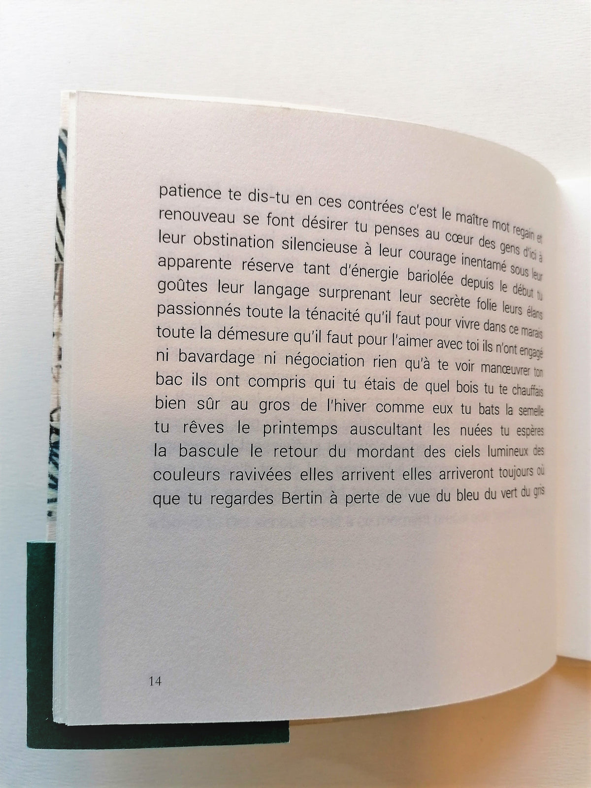 Embarque • Florence Saint-Roch image 10