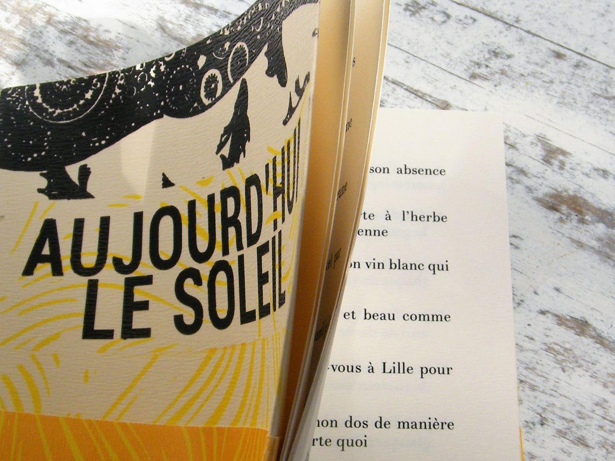 Aujourd'hui le soleil • Ian Monk image 8