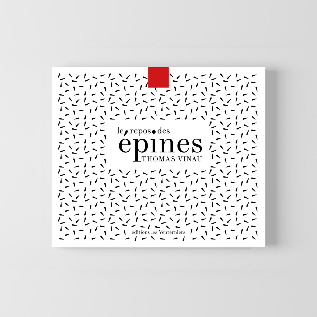 Le Repos des épines • Thomas Vinau image 0