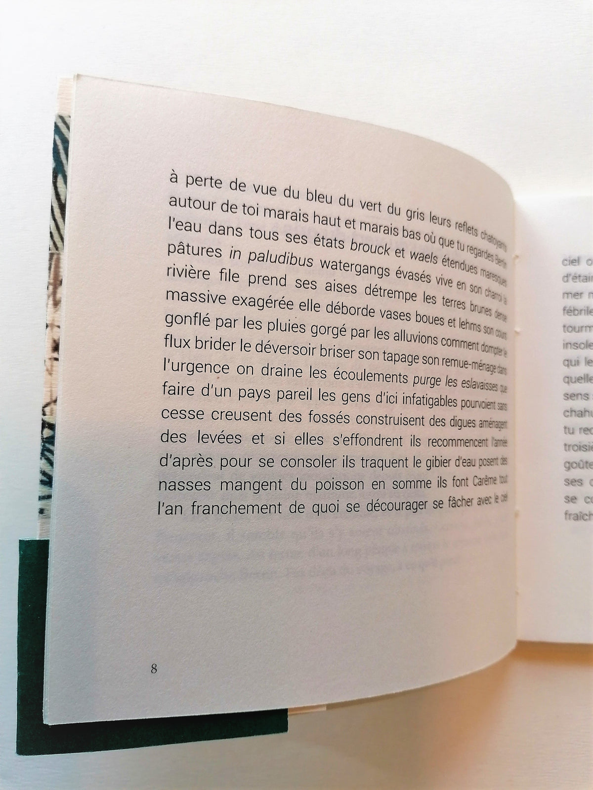 Embarque • Florence Saint-Roch image 9