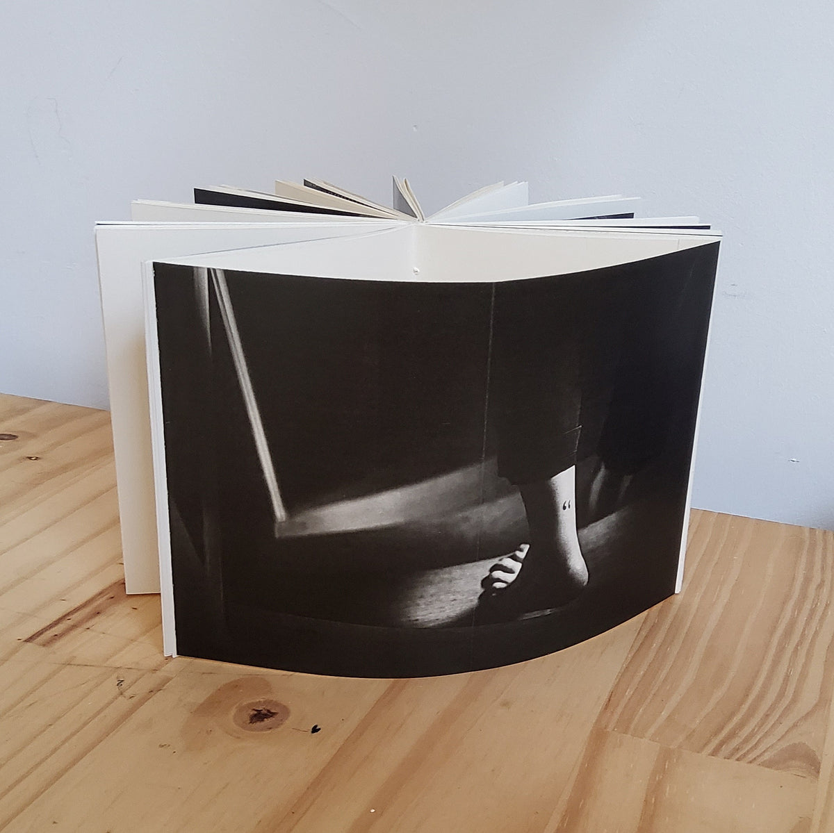 Poèmes typodermiques • Camille Bloomfield image 10