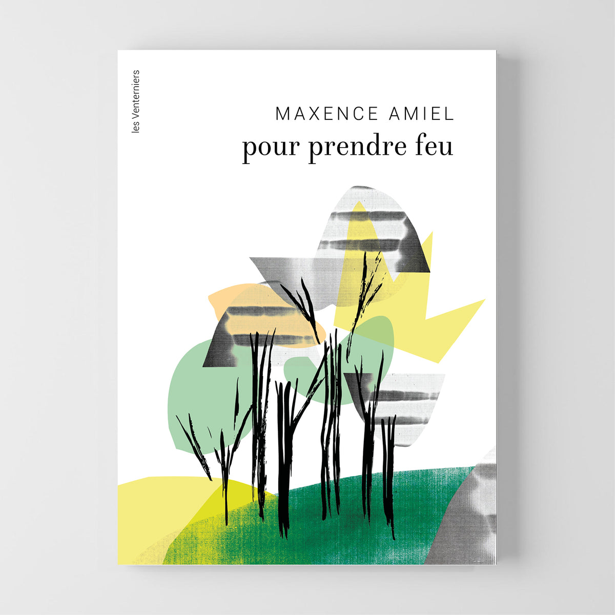 pour prendre feu • Maxence Amiel image 0