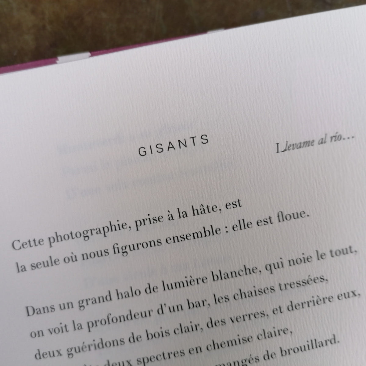 De olvidarte nunca • Olivier Barbarant image 7