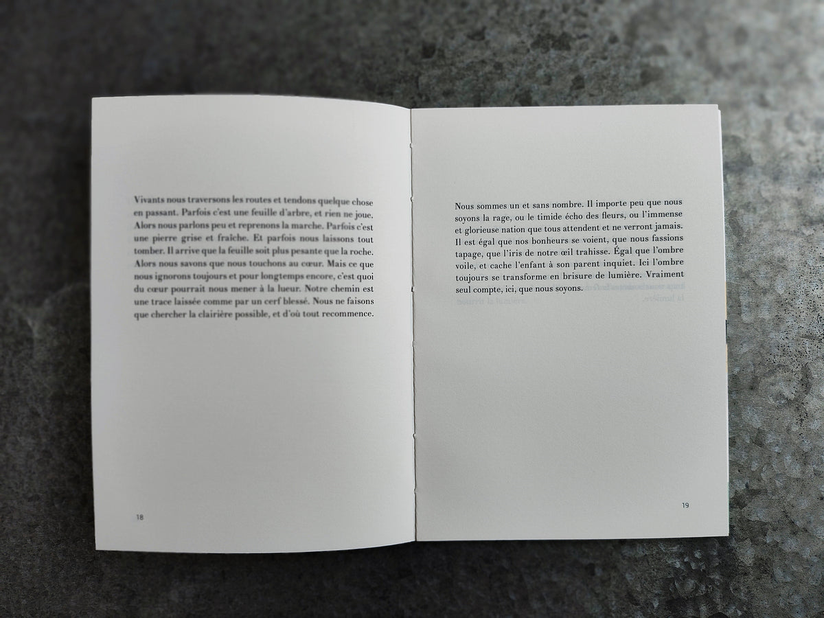 pour prendre feu • Maxence Amiel image 7