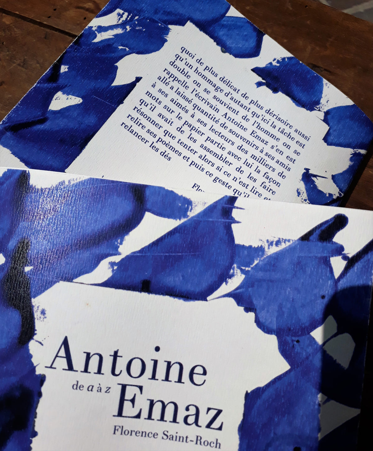 Antoine Emaz de a à z • Florence Saint-Roch image 7