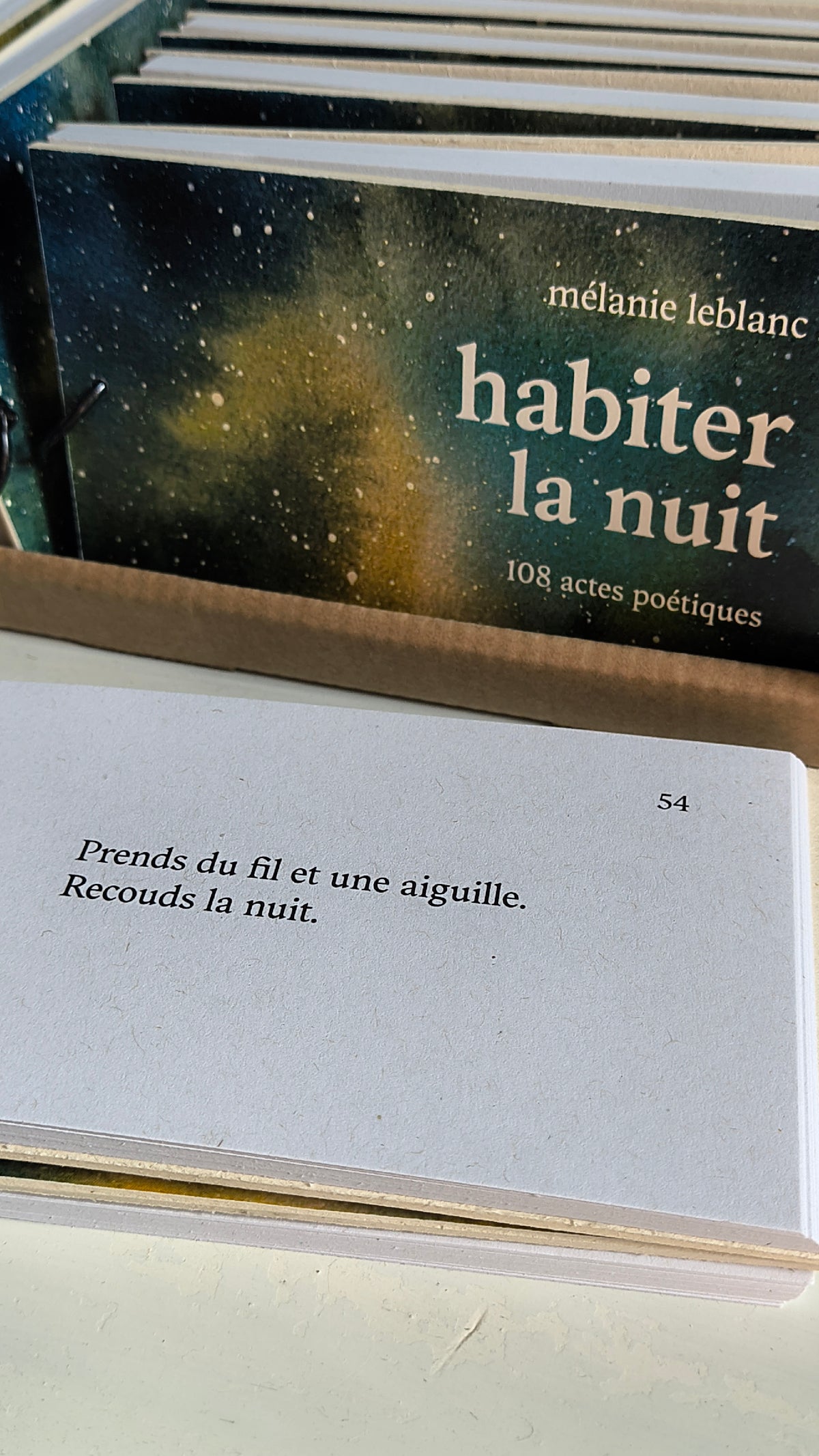 habiter la nuit • Mélanie Leblanc