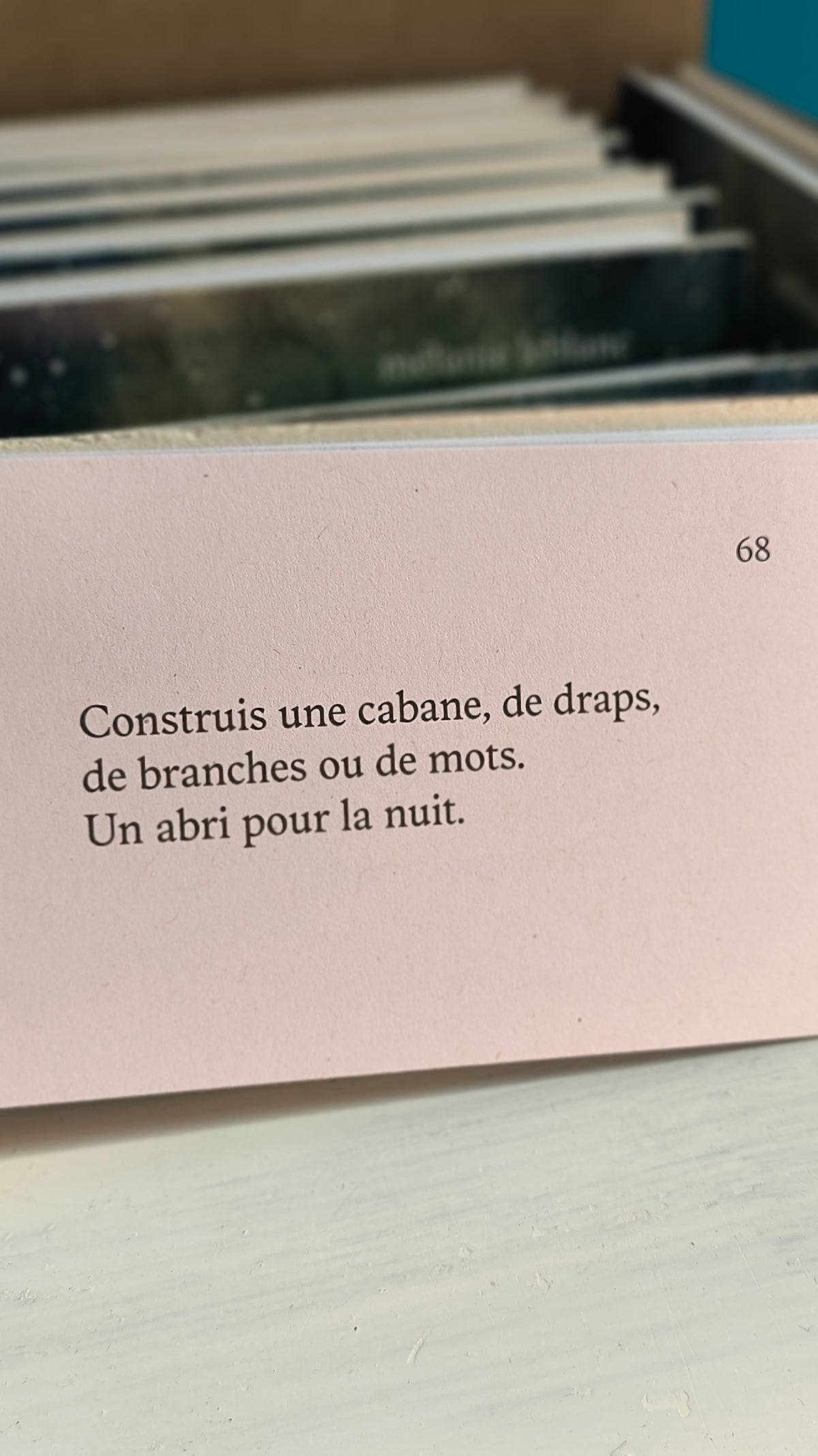 habiter la nuit • Mélanie Leblanc