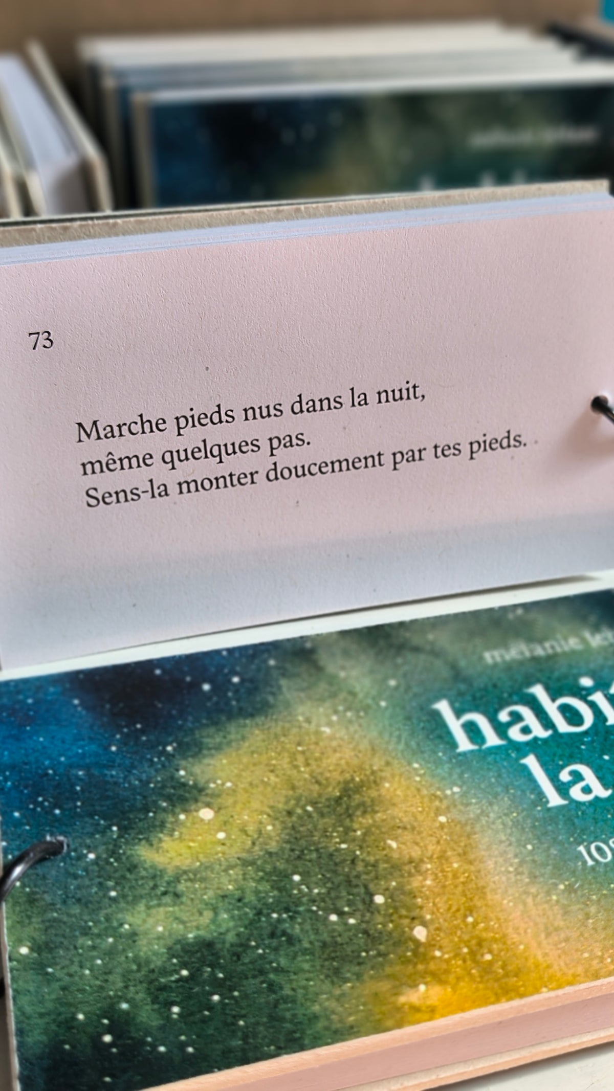 habiter la nuit • Mélanie Leblanc