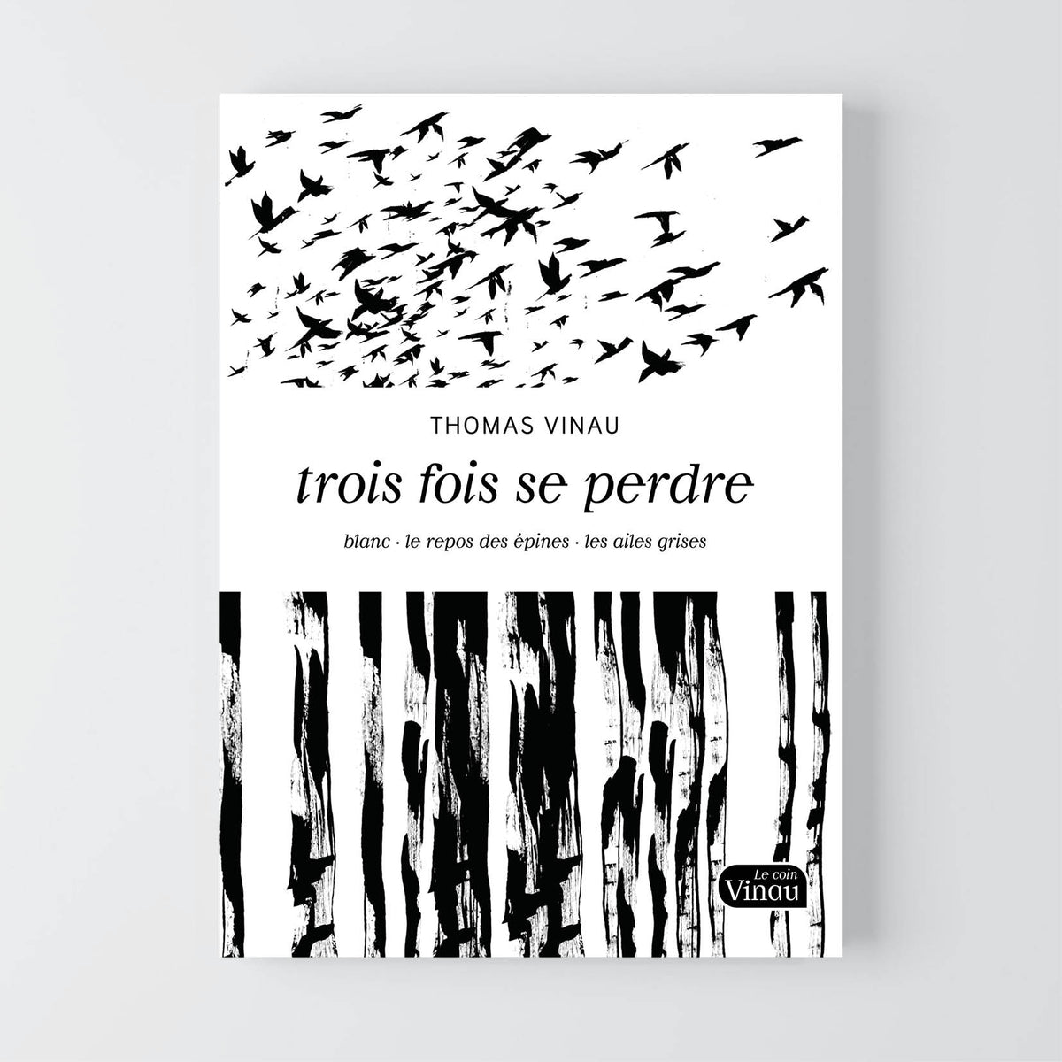 Trois fois se perdre • Thomas Vinau