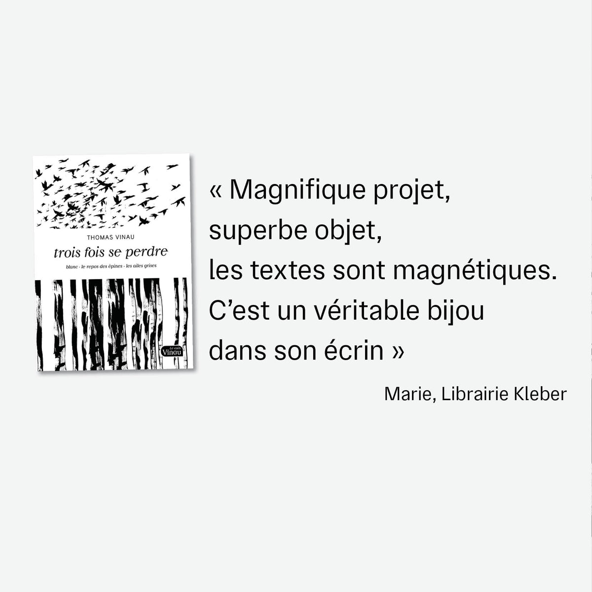 Trois fois se perdre • Thomas Vinau