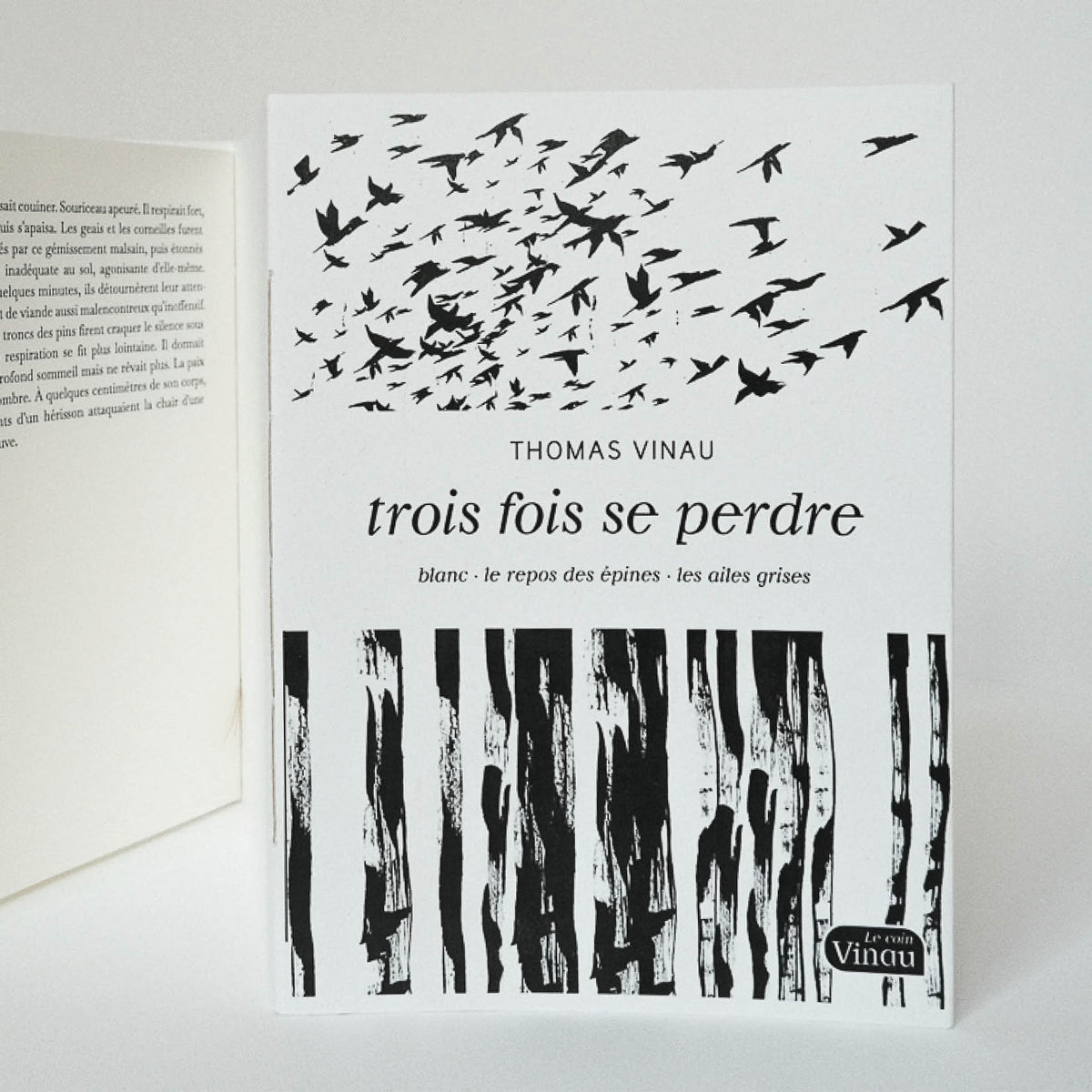 Trois fois se perdre • Thomas Vinau