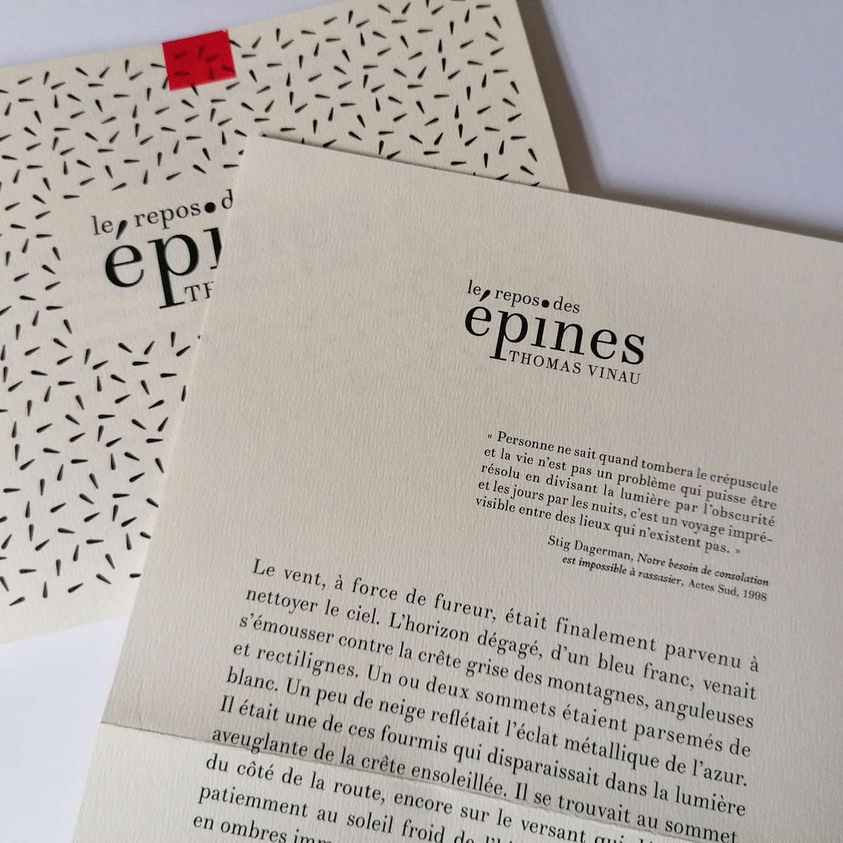 Le Repos des épines • Thomas Vinau image 2