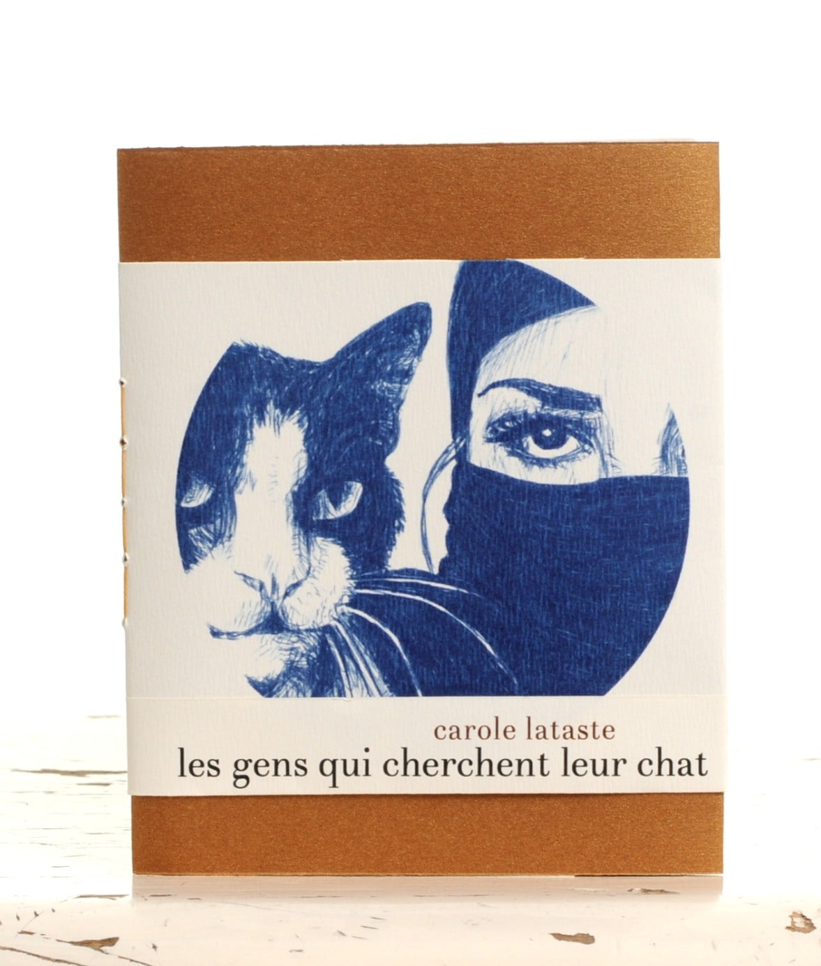 Les gens qui cherchent leur chat • Carole Lataste image 3