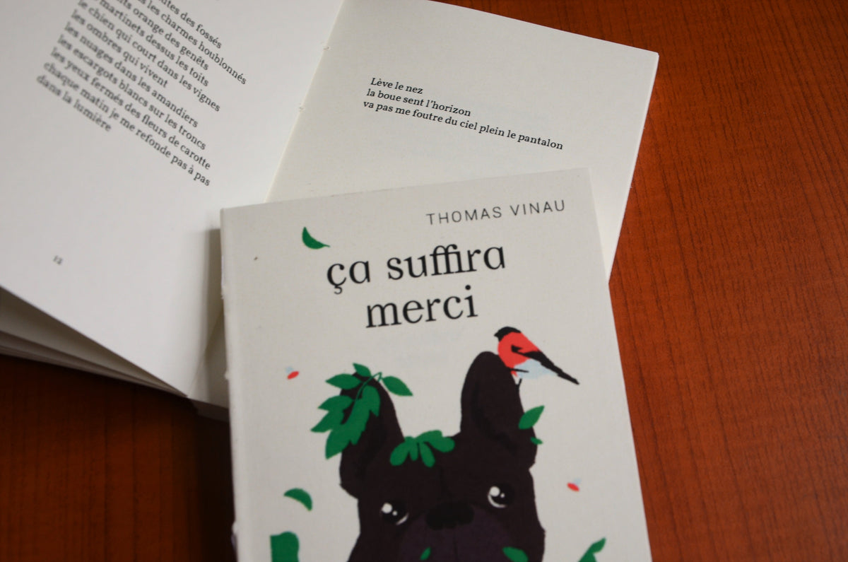 ça suffira merci • Thomas Vinau image 3