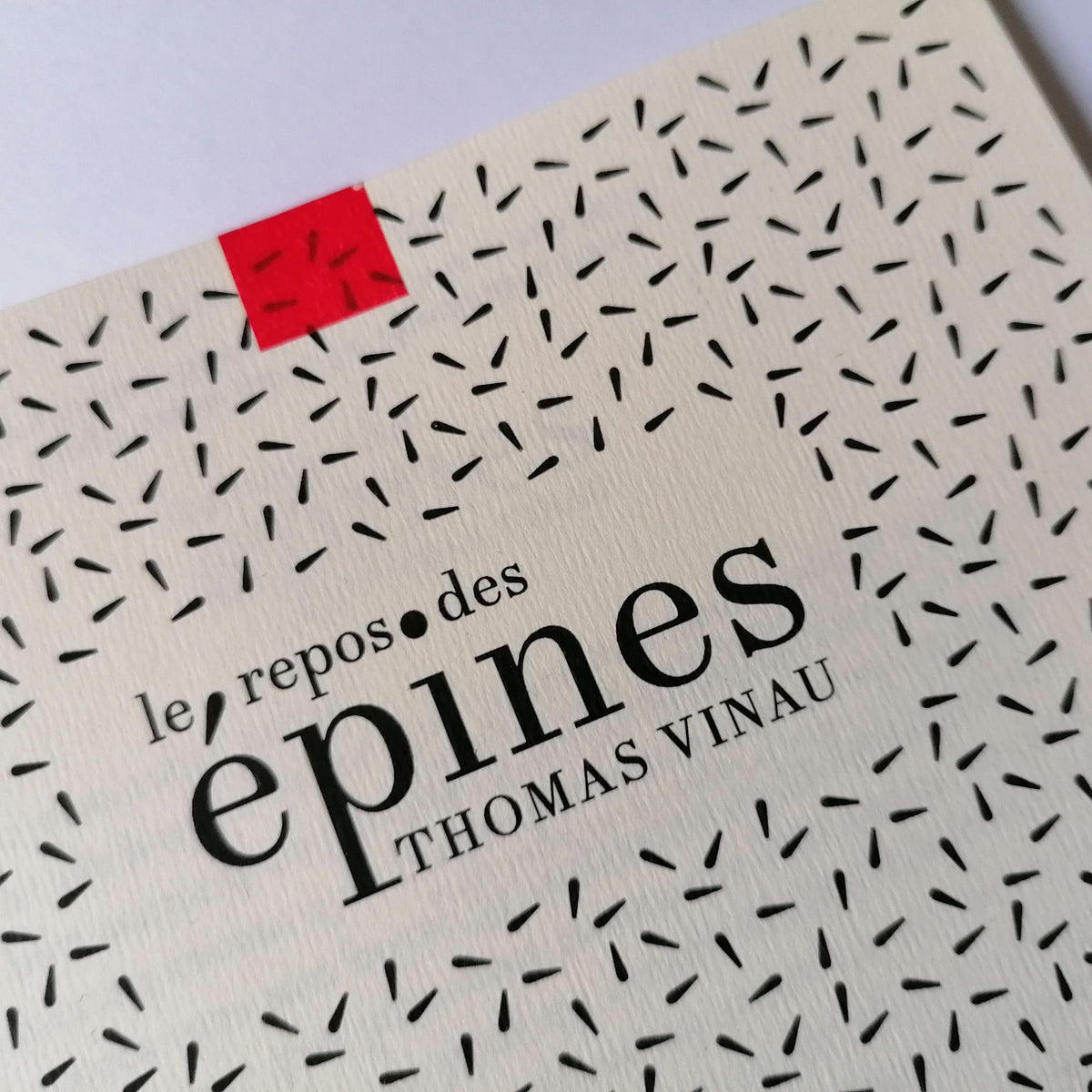 Le Repos des épines • Thomas Vinau image 1
