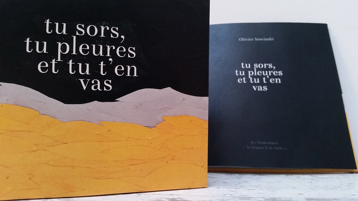 Tu sors, tu pleures et tu t'en vas • Olivier Sowinski image 2