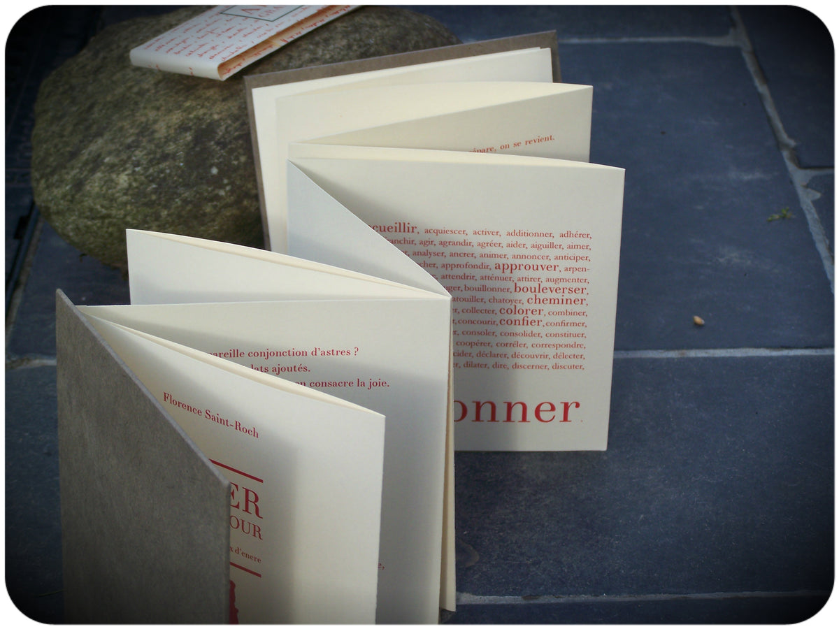 Aimer grand jour • Florence Saint-Roch image 2