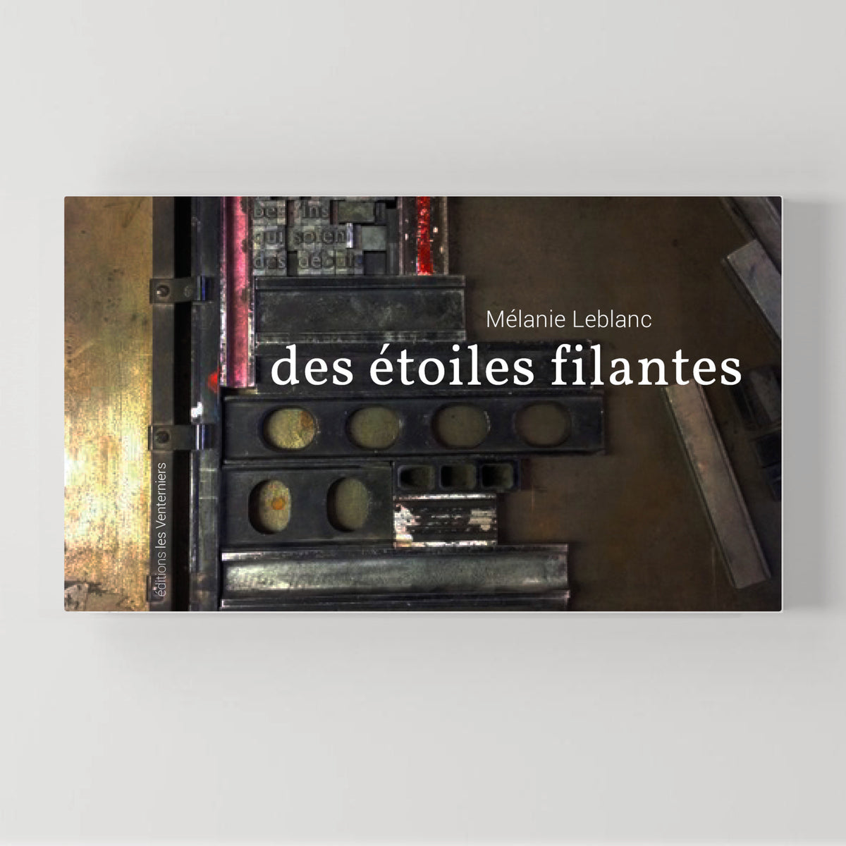 des étoiles filantes • Mélanie Leblanc image 0