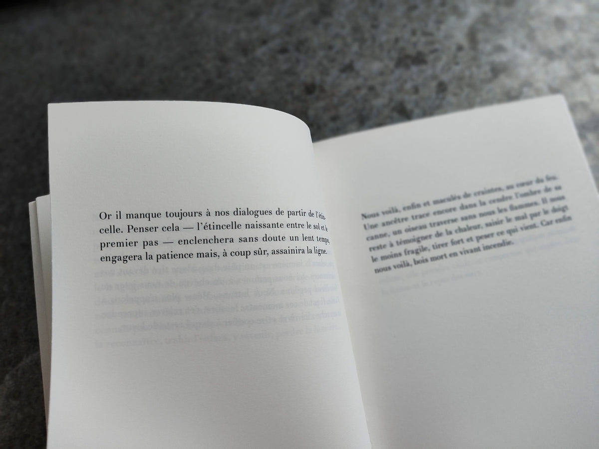 pour prendre feu • Maxence Amiel image 10
