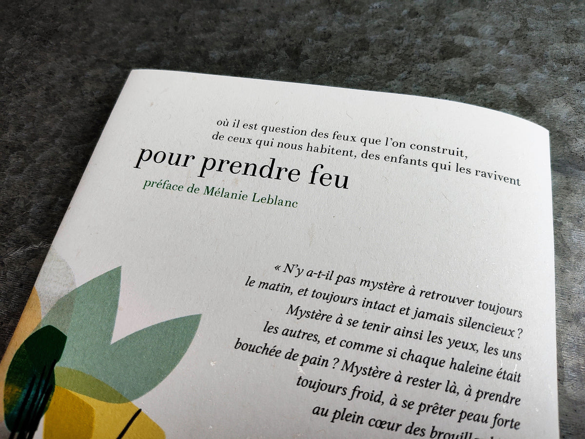 pour prendre feu • Maxence Amiel image 1