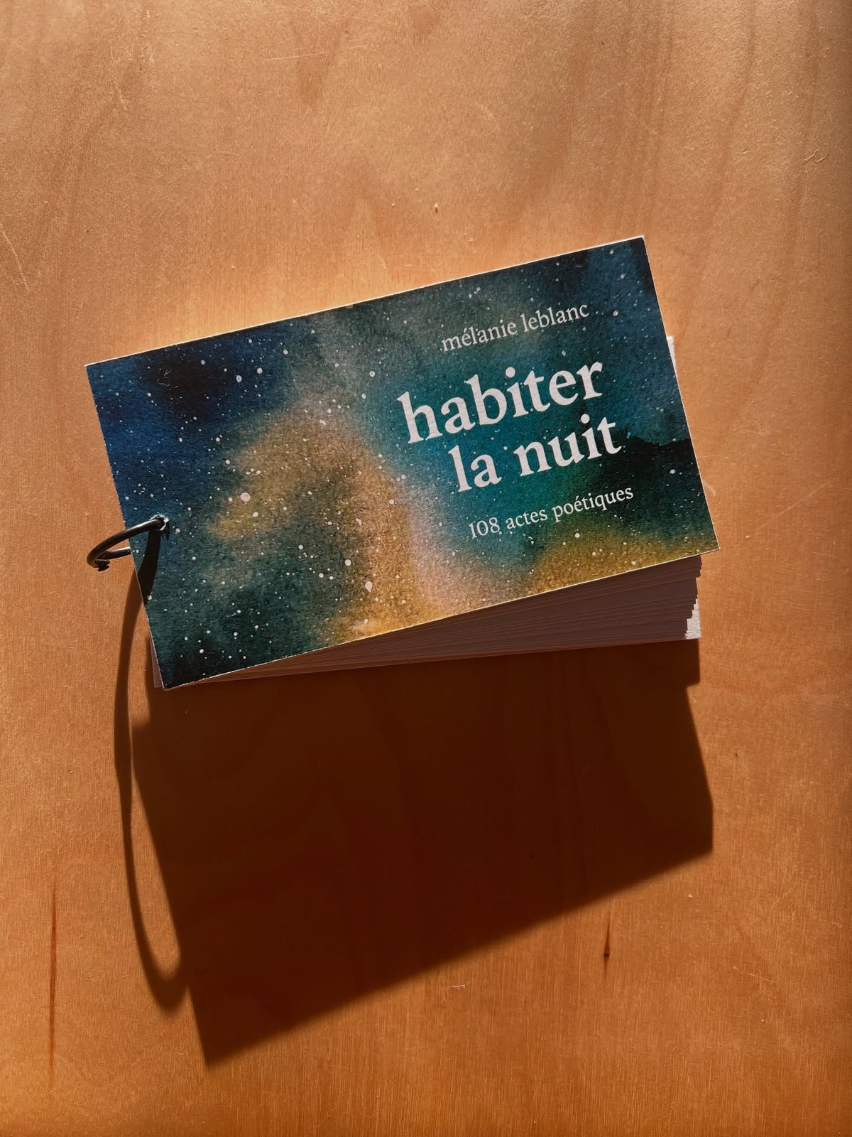 habiter la nuit • Mélanie Leblanc image 1