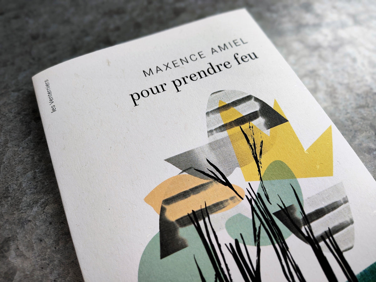 pour prendre feu • Maxence Amiel image 2