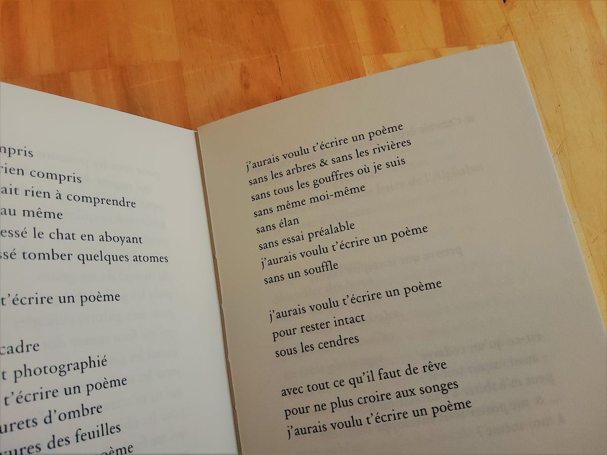 J'aurais voulu t'écrire un poème • Pierre Soletti image 4