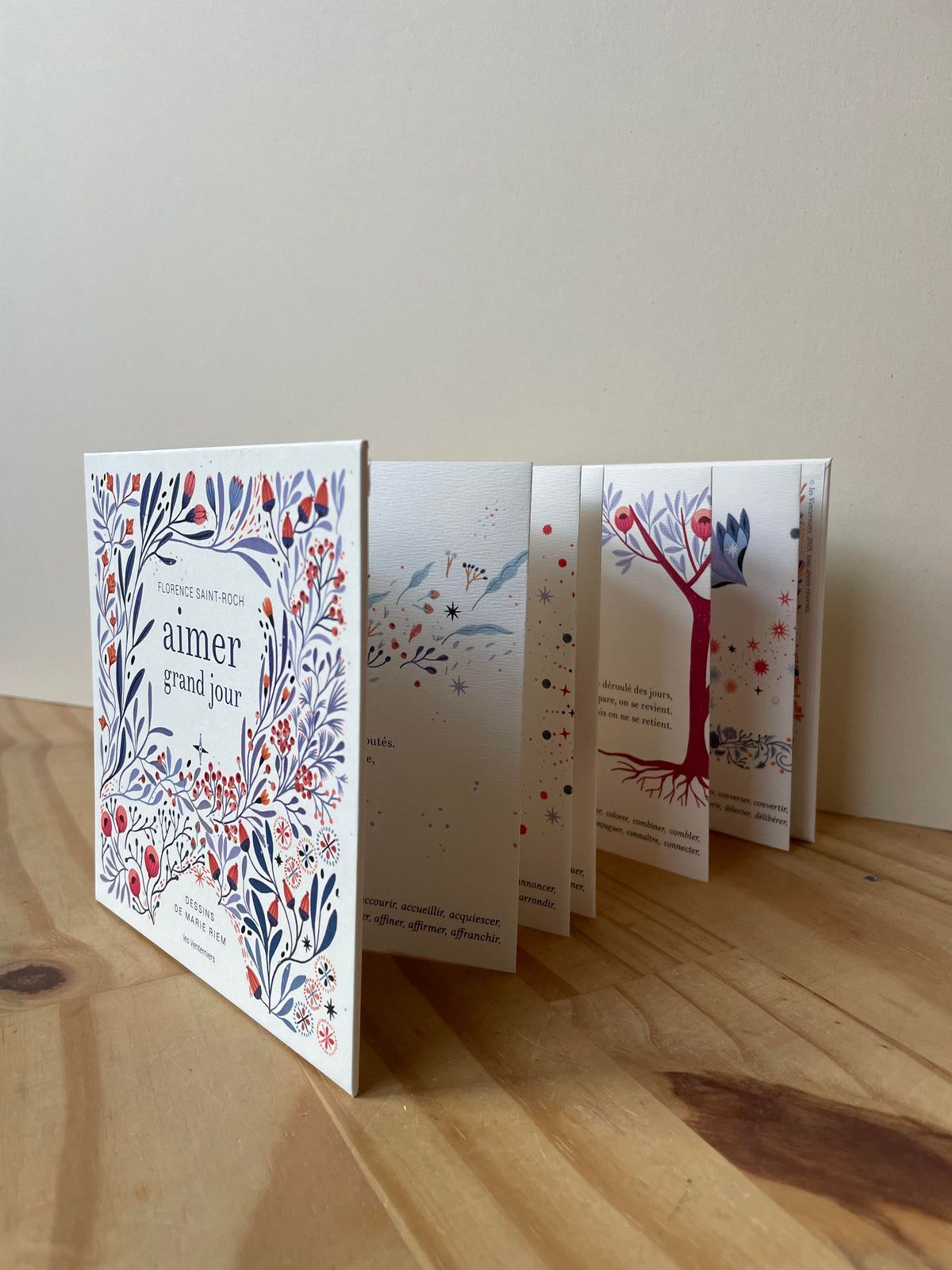 Aimer grand jour • Florence Saint-Roch • Marie Riem image 1