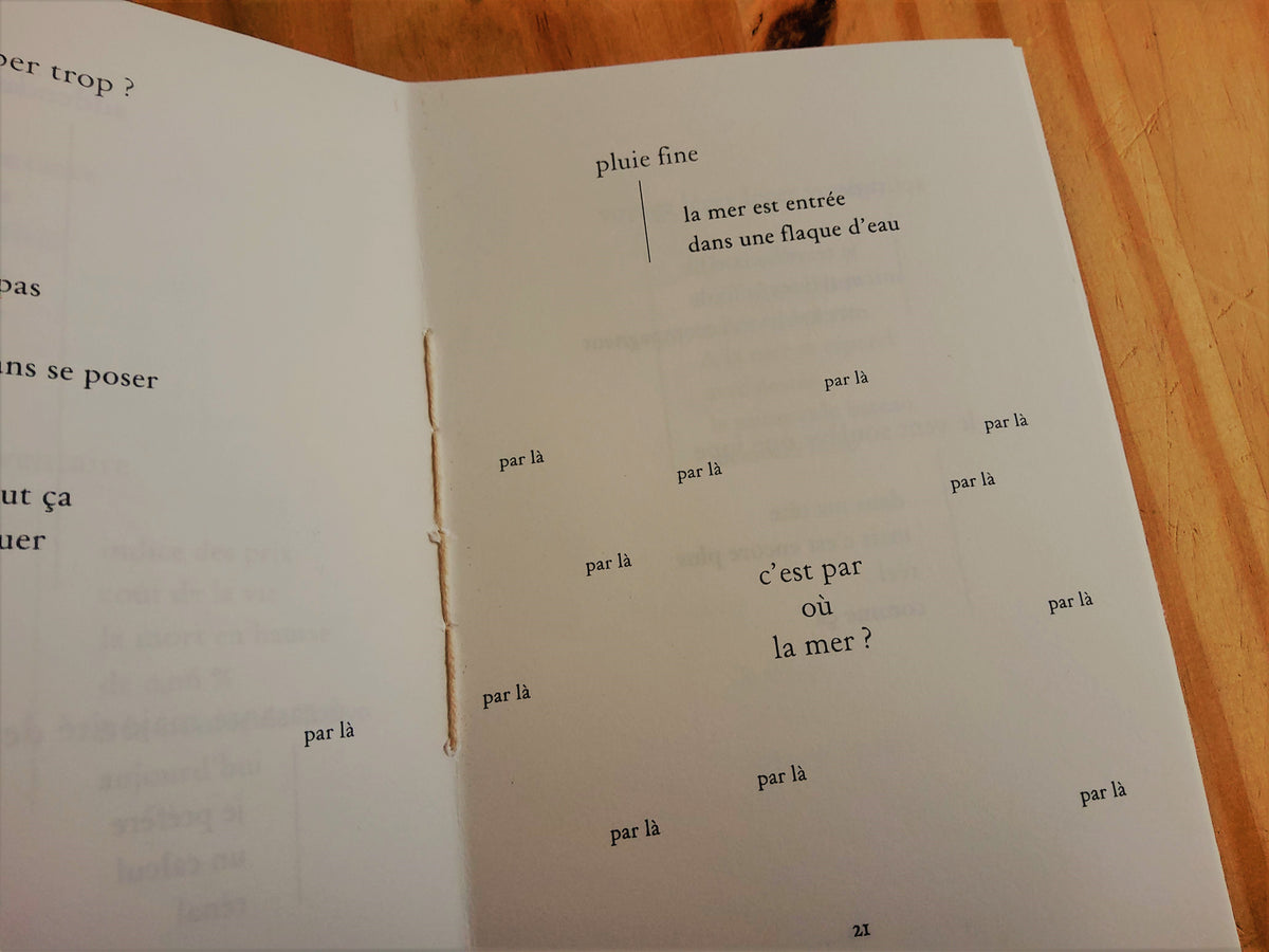 J'aurais voulu t'écrire un poème • Pierre Soletti image 7