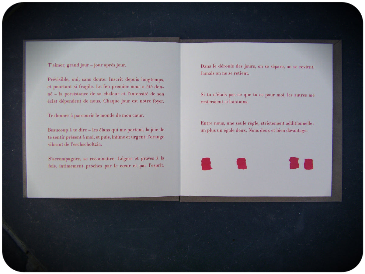 Aimer grand jour • Florence Saint-Roch image 7